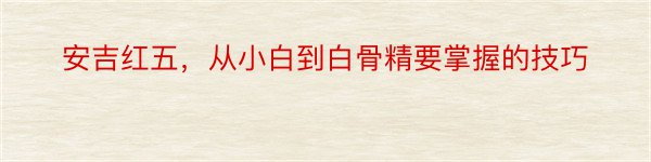 安吉红五，从小白到白骨精要掌握的技巧