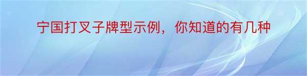 宁国打叉子牌型示例，你知道的有几种