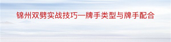 锦州双劈实战技巧—牌手类型与牌手配合