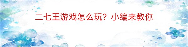 二七王游戏怎么玩？小编来教你