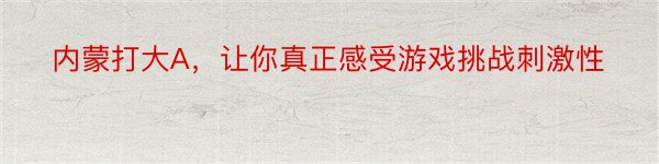 内蒙打大A，让你真正感受游戏挑战刺激性