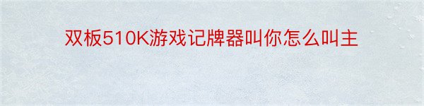 双板510K游戏记牌器叫你怎么叫主