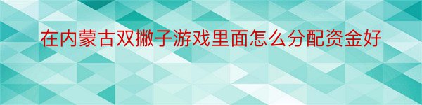 在内蒙古双撇子游戏里面怎么分配资金好