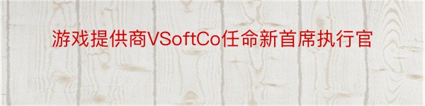 游戏提供商VSoftCo任命新首席执行官